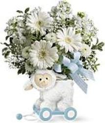 Teleflora's Sweet Little Lamb - Baby Blue from Backstage Florist in Richardson, Texas