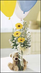 FTD Welcome Bear Bouquet from Backstage Florist in Richardson, Texas