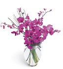 FTD Morning Joy Bouquet purple Orchids 