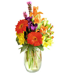 FTD Festival of Color Bouquet from Backstage Florist in Richardson, Texas