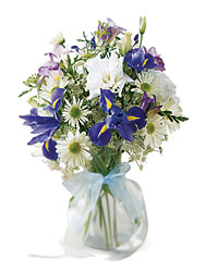 FTD Bouncing Baby Boy Bouquet from Backstage Florist in Richardson, Texas