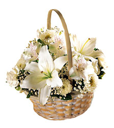 FTD Divinity Basket from Backstage Florist in Richardson, Texas