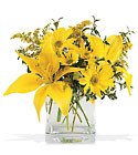 /images/telwhite03/05N100lg.jpg Clear Day Bouquet