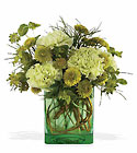 /images/telwhite03/05N200lg.jpg Misty Morning Bouquet