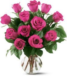 12 Hot Pink Roses from Backstage Florist in Richardson, Texas