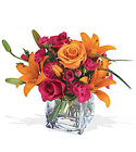 Teleflora's Uniquely Chic Bouquet from Backstage Florist in Richardson, Texas