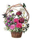 /images/telwhite03/tf11-1lg.jpg Touch of Butterflies