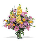 /images/telwhite03/tf15-2lg.jpg Yellow & Lavender Delight