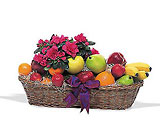 Plant and Fruit Basket 