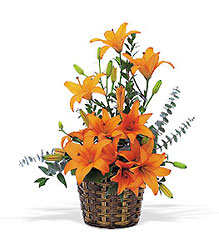 Asiatic Lilies from Backstage Florist in Richardson, Texas