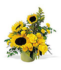 /images/telwhite03/tf67-2lg.jpg A Pot of Sunflowers