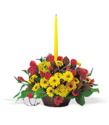 Harvest Centerpiece with Single Taper from Backstage Florist in Richardson, Texas