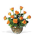 A Dozen Orange Roses 