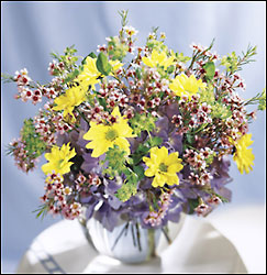 FTD Fresh as a Daisy Bouquet from Backstage Florist in Richardson, Texas