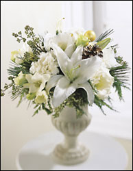 FTD Winter Warmth Arrangement from Backstage Florist in Richardson, Texas