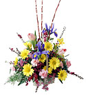 FTD Friendly Welcome Arrangement from Backstage Florist in Richardson, Texas