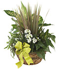FTD Village Square Planter from Backstage Florist in Richardson, Texas