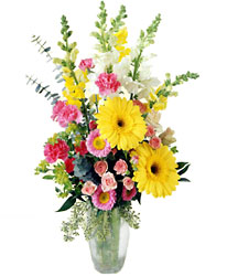 FTD Birthday Cheer Bouquet from Backstage Florist in Richardson, Texas