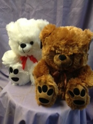 CUTE PLUSH BEAR WITH PAW PRINTS from Backstage Florist in Richardson, Texas