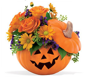 Teleflora's Pumpkin Patch Bouquet from Backstage Florist in Richardson, Texas