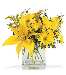 Clear Day Bouquet from Backstage Florist in Richardson, Texas
