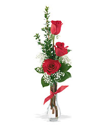 3 Red Roses from Backstage Florist in Richardson, Texas