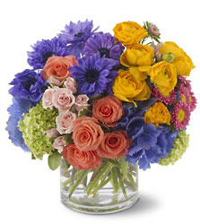 Spring Sonnet from Backstage Florist in Richardson, Texas