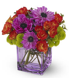 Brilliant Blossoms from Backstage Florist in Richardson, Texas