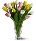 15 Mixed Tulip from Backstage Florist in Richardson, Texas
