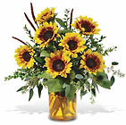 Sunrise Sunflowers from Backstage Florist in Richardson, Texas