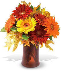 Autumn Gerberas from Backstage Florist in Richardson, Texas