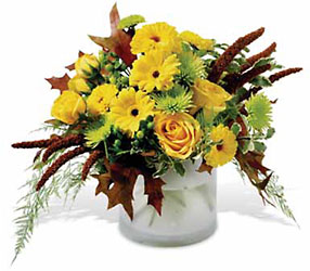 Harvest Sun from Backstage Florist in Richardson, Texas
