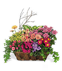 Deluxe European Garden Basket