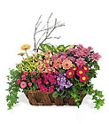 Deluxe European Garden Basket from Backstage Florist in Richardson, Texas