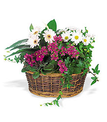 Traditional European Garden Basket from Backstage Florist in Richardson, Texas