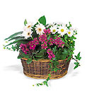 Traditional European Garden Basket from Backstage Florist in Richardson, Texas