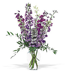 Delphinium Dreams from Backstage Florist in Richardson, Texas