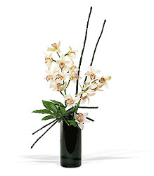 Artful Orchids from Backstage Florist in Richardson, Texas
