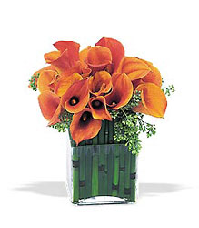 Bronze Callas from Backstage Florist in Richardson, Texas