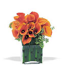 Bronze Callas from Backstage Florist in Richardson, Texas