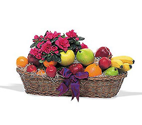 Plant and Fruit Basket from Backstage Florist in Richardson, Texas