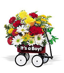 Teleflora's Baby's First Wagon from Backstage Florist in Richardson, Texas