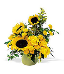 A Pot of Sunflowers from Backstage Florist in Richardson, Texas